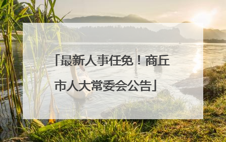 最新人事任免！商丘市人大常委会公告