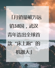 月销量破万远销38国，武汉青年造出全球首款“床上跑”的机器人