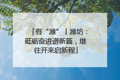 有“潍”丨潍坊：砥砺奋进谱新篇，继往开来启新程