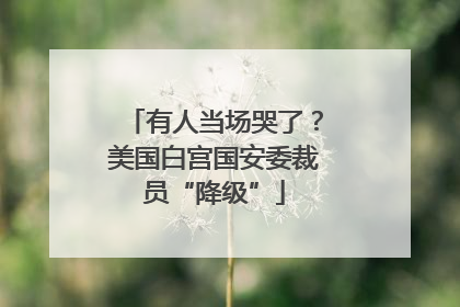 有人当场哭了？美国白宫国安委裁员“降级”