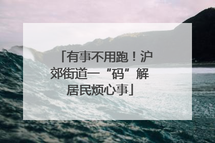 有事不用跑！沪郊街道一“码”解居民烦心事