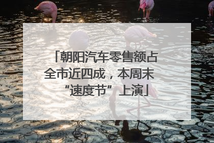 朝阳汽车零售额占全市近四成，本周末“速度节”上演