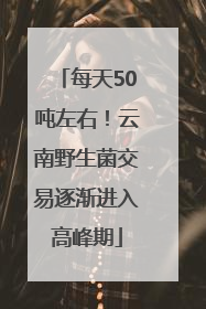 每天50吨左右！云南野生菌交易逐渐进入高峰期
