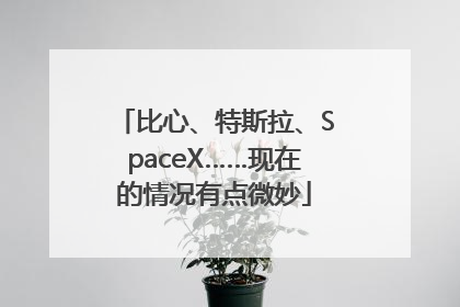 比心、特斯拉、SpaceX……现在的情况有点微妙