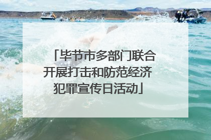 毕节市多部门联合开展打击和防范经济犯罪宣传日活动