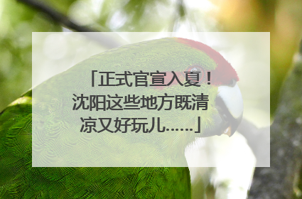 正式官宣入夏！沈阳这些地方既清凉又好玩儿……