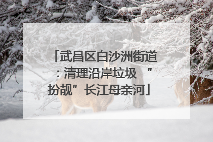 武昌区白沙洲街道：清理沿岸垃圾 “扮靓”长江母亲河