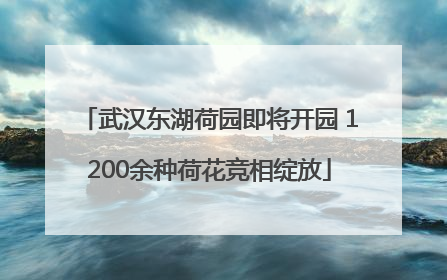 武汉东湖荷园即将开园 1200余种荷花竞相绽放