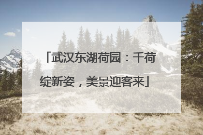 武汉东湖荷园：千荷绽新姿，美景迎客来