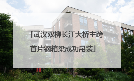 武汉双柳长江大桥主跨首片钢箱梁成功吊装