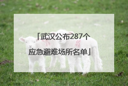 武汉公布287个应急避难场所名单