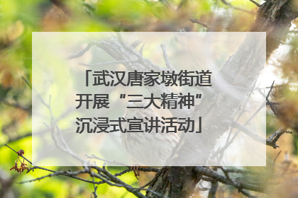武汉唐家墩街道开展“三大精神”沉浸式宣讲活动