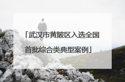 武汉市黄陂区入选全国首批综合类典型案例