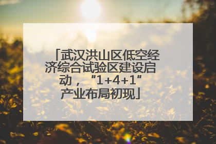 武汉洪山区低空经济综合试验区建设启动，“1+4+1”产业布局初现