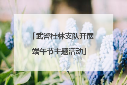 武警桂林支队开展端午节主题活动