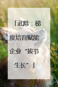 武陟：梯度培育赋能企业“拔节生长”