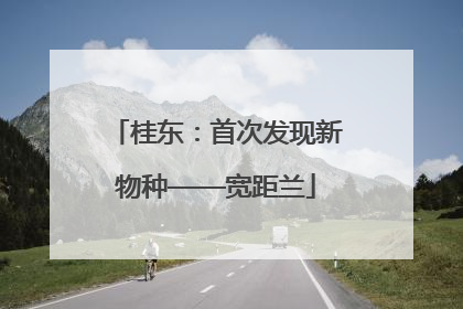 桂东：首次发现新物种——宽距兰
