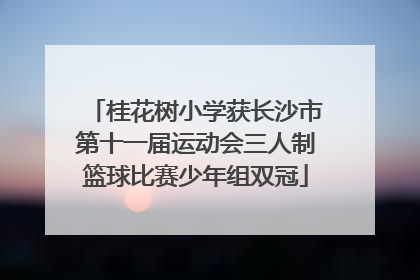 桂花树小学获长沙市第十一届运动会三人制篮球比赛少年组双冠