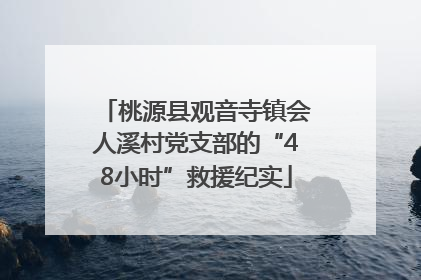 桃源县观音寺镇会人溪村党支部的“48小时”救援纪实