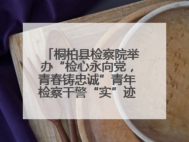 桐柏县检察院举办“检心永向党，青春铸忠诚”青年检察干警“实”迹展示活动