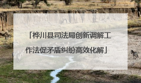 桦川县司法局创新调解工作法促矛盾纠纷高效化解