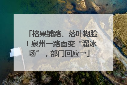 榕果铺路、落叶糊脸！泉州一路面变“溜冰场”，部门回应→