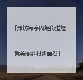潍坊寒亭固堤街道绘就美丽乡村新画卷