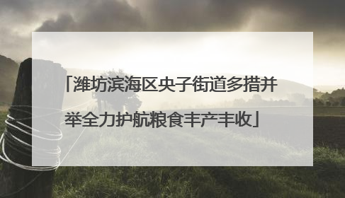潍坊滨海区央子街道多措并举全力护航粮食丰产丰收