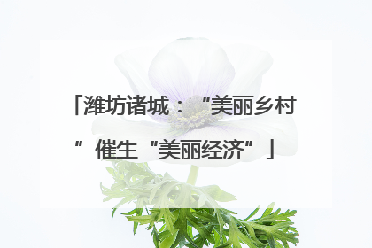 潍坊诸城：“美丽乡村”催生“美丽经济”