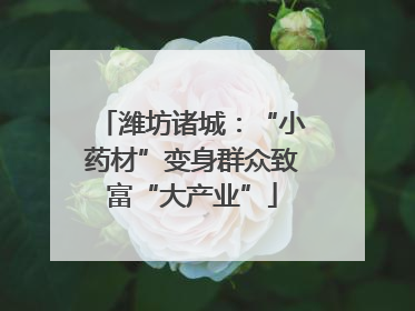 潍坊诸城：“小药材”变身群众致富“大产业”