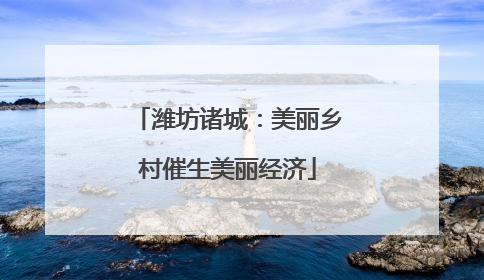 潍坊诸城：美丽乡村催生美丽经济
