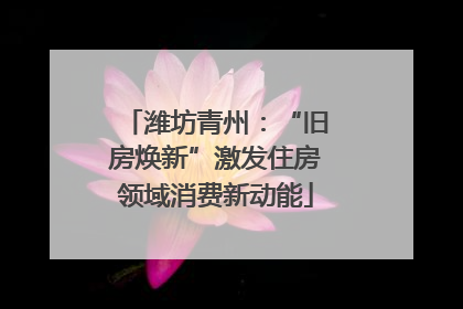 潍坊青州：“旧房焕新”激发住房领域消费新动能