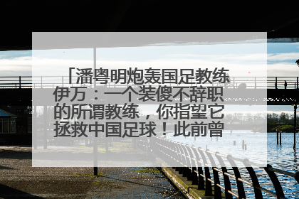 潘粤明炮轰国足教练伊万：一个装傻不辞职的所谓教练，你指望它拯救中国足球！此前曾多次发文评价国足