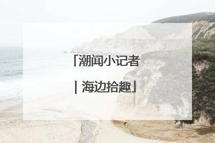 潮闻小记者｜海边拾趣