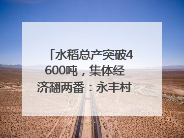 水稻总产突破4600吨，集体经济翻两番：永丰村的三年蜕变｜您牵挂的四川