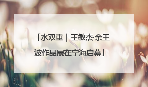 水双重｜王敏杰·余王波作品展在宁海启幕