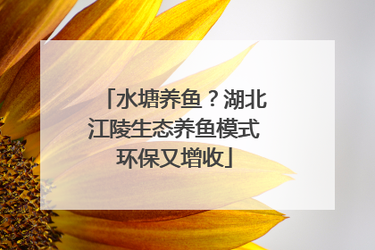 水塘养鱼？湖北江陵生态养鱼模式环保又增收