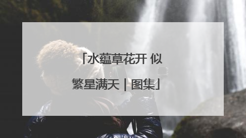 水蕴草花开 似繁星满天｜图集