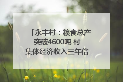 永丰村：粮食总产突破4600吨 村集体经济收入三年倍增｜牵挂的村