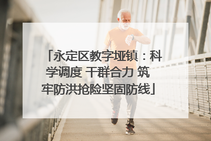 永定区教字垭镇：科学调度 干群合力 筑牢防洪抢险坚固防线