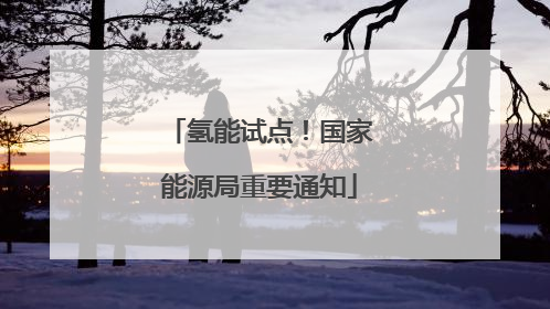 氢能试点！国家能源局重要通知