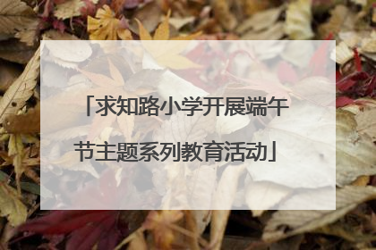 求知路小学开展端午节主题系列教育活动
