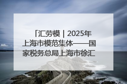 汇劳模｜2025年上海市模范集体——国家税务总局上海市徐汇区税务局第一税务所
