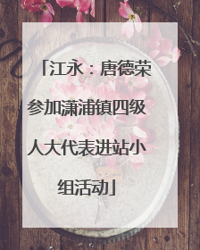 江永：唐德荣参加潇浦镇四级人大代表进站小组活动
