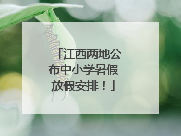 江西两地公布中小学暑假放假安排！