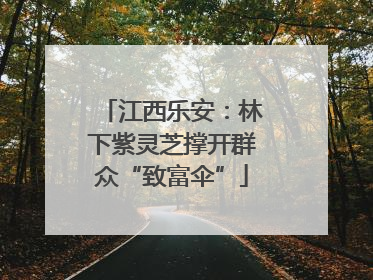 江西乐安：林下紫灵芝撑开群众“致富伞”