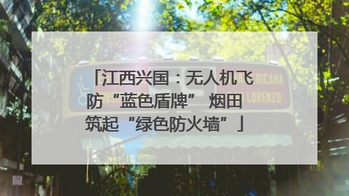 江西兴国：无人机飞防“蓝色盾牌” 烟田筑起“绿色防火墙”