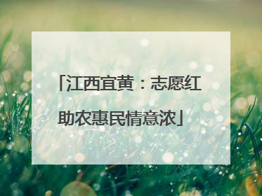 江西宜黄：志愿红助农惠民情意浓