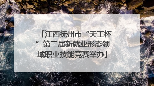 江西抚州市“天工杯”第二届新就业形态领域职业技能竞赛举办