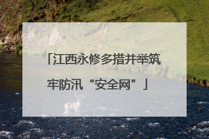 江西永修多措并举筑牢防汛“安全网”